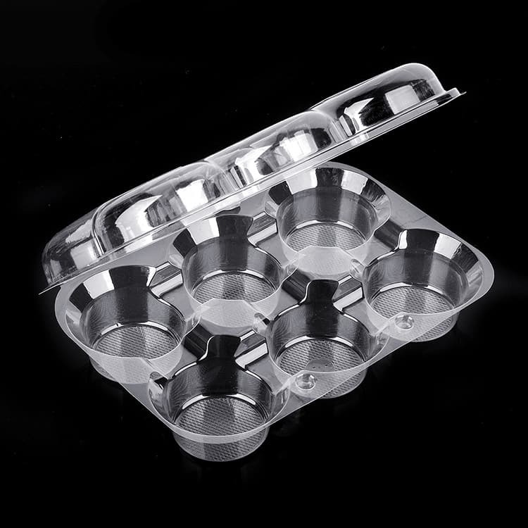 Disposable 6 Pack Cupcake Container